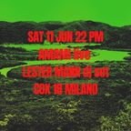 Lester Mann feat. Freddy Amoruso (live harmonica) Live at Cox18 11 June 2022