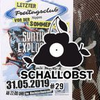 Schallobst #29 - Synthie-Explosion @ Freitagsclub 2019-05-29 (2019-08-18 @ 674.fm)
