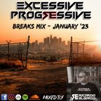 Excessive Progressive - Breaks Mix January '23 - Ricardo Elgardo