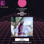 LPB Presents The Monthly Mix - ARI3S