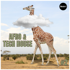 Tech House Mix (Afro & Latin Influences) #2