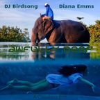 Awfully Deep Dj Birdsong Diana Emms Collaboration