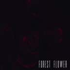 Forest Flower Black Rose Mix