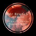 Organic House Downtempo Mix Vol 15