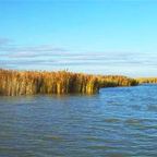 (1)'Neusiedler See' (+Musik) gelesen von Renate Spitzner