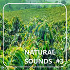 Natural Sounds #3