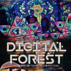 Jádro Pudla – bass/glitch/psychill @ Digital Forest 2017
