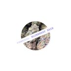 BLUEBERRY HAZE