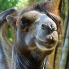 Hump day breakfast: 20 Sept 2023