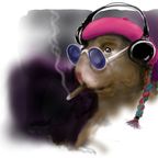 Marvin Hamster Music Emporium - 78 - 1 - Free Pop Car Hop Set