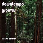 downtempo grooves (hardkandy, hint, minotaur shock, bon iver, eels, moderator, prefuse 73...)