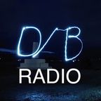 D/B Radio 203