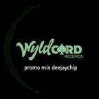Wyldcard Records (promo mix) 2023