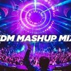 Vol 413 (2023)EDM House Mashups & Remixes Mix 8.16.23 (183)