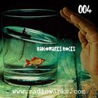 RadioWarks Rocks 004 w/soulcruzer