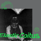 Digital Practice 023; Elastic Coitus - October 19th 2022