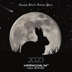2023 Black Rabbit Session by Harmonium Chill Station (Special TianShan MountainMix from DJ V++)