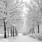April mix - Winter never comes