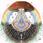 Mycelium Universe