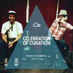 Celebration of Curation 2013 #NY: Stretch & Bobbito 20th Anniversary Show