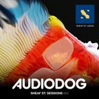 AUDIODOG - Sheaf St. Sessions - 02