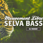 "Selva Bass", Mouvement Libre (Ecstatic Dance), February 2018