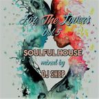 For The Lovers Vol 5 - Soulful House