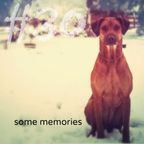 Mix 30 // Some Memories