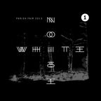 White Noise - Parish Fair 2015 - 1