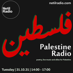 Palestine Radio pt2 - poetry, live music and allies for Palestine - 31st October 2023