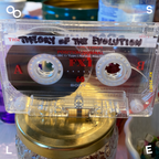 DAX DJ PRESENTS HARDIZ ALDO'S TAPES: DAX DJ, 'THEORY OF THE EVOLUTION', 1996