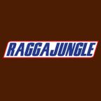 DJ Boog'E'Down Presents....Ragga Jungle Mix 2