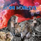 Moon Monkeys