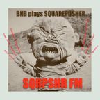 SQRPSHR FM [dj kicks by Brand New Bastards]