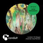 Conduit Set #114 | Aural Stimulation (curated by DJ Segue) [SoulTerrain]