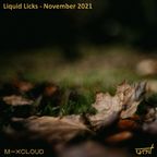 Liquid Licks - November 2021