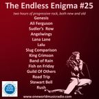 The Endless Enigma #25