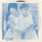 Foraged Sounds - Wild Fire (Folk / Soft Rock / Soul Vinyl Only Mix)