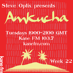 Steve Optix Presents Amkucha on Kane FM 103.7 - Week Twenty Two