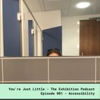 You're Just Little - The Exhibition Podcast - 001 - Accessibility