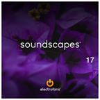 Electrofans Soundscapes, Episode 17