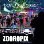 Zooropix @ Digital Forest festival 17.08.2018