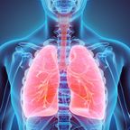 Breathe Free! Herbs and Other Remedies for Respiratory Allergies