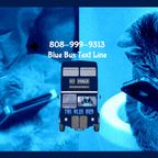 The Blue Bus Pgm #406