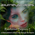 PGM 356: RAINFOREST SOJOURN 7 (a tribal-ambient chillout mix through the tropics)