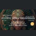 Ecstatic Dance Hagaparken August 2023