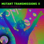 Mutant Transmissions Radio with DJ Polina Y Mutant Summer II French/Belgian Edition
