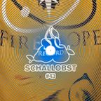 Schallobst #43 - FireScope Records Special + Interview with Steven Rutter (2020-10-18 @ 674.fm)