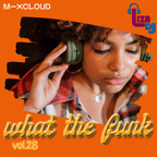 what the funk vol.28