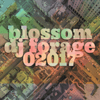 DJ forage - Blossom 02017 Saturday afternoon